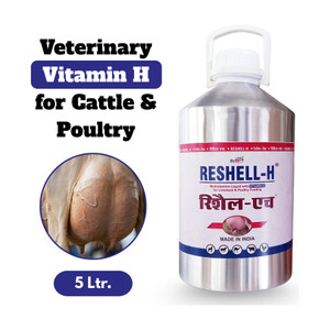 REFIT ANIMAL CARE Vitamin H for Cow