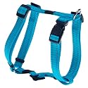 Reflective Adjustable Dog H Harness for Medium Dogs; Matching Collar and Leash Available, Turquoise