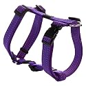 Reflective Adjustable Dog H Harness for Small to Medium Dogs; matching collar and leash available, Purple