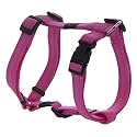 Reflective Adjustable Dog H Harness for Small to Medium Dogs; matching collar and leash available, Pink