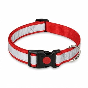 reflective dog collar with button lock  adjustable safety collar with reflective strip  secure amp comfortable pet collar for dog red s