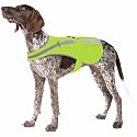 Reflective Dog Vest for Medium and Large Breeds, High Visibility Dog Safety Vest with Removable Bell Keep Safe from Hunting, Training & Cars Accidents