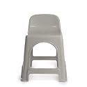 Regalo Backrest Premium Plastic Stool Chair | Strong Support for Bathroom | Multipurpose (Light Pista)