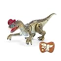 Remote Control Dinosaur for Kids, LED Walking Electric RC Toy, 2.4GHz, Multi-Color, ABS Plastic, Rechargeable (Green)
