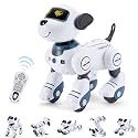 Remote Control Robot Dog Toys Interactive Realistic Puppy for Kids Age 3+