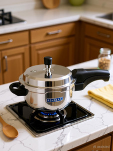 Renberg Supreme 2 L Outer Lid Induction