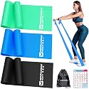 Resistance Bands Set, Exercise Bands for Physical Therapy, Pilates, Yoga