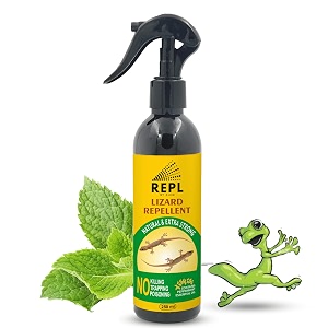repl lizard repellent spray 250ml for home  100 natural pest control spray  made of peppermint amp eucalyptus oil  lizard spray  permanent solution for lizards  not lizard killer  pk of 1