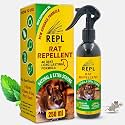 Repl Rat Repellent Spray For Car &amp; Home -250ml | 100% Natural Oils Based Rodent Spray For Car Engine And Interior | Not Rat Killer But Rat Repellent For Home | 30 Days Long Bike &amp; Car Protection