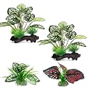 Moonorange Reptile Artificial Plants, Terrarium Plants Decorations Supplies, Aquarium Fish Tank Plant, Amphibian Habitat Hideout Tank Accessories(M Set-4pcs/B)