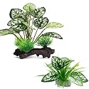 Moonorange Reptile Artificial Plants, Terrarium Plants Decorations Supplies, Aquarium Fish Tank Plant, Amphibian Habitat Hideout Tank Accessories (M Set-2pcs/B)