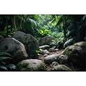 Reptile Habitat Backdrop Lush Tropical Plants and Rocks Terrarium Backdrop Dense Vegetation with Large Broad Leaves and Ferns Fish Tank Background Aquarium Wallpaper Poster Decor Vinyl 24x12in