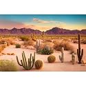 Desert Reptile Habitat Background Arid Landscape of Hot Sahara Desert Terrarium Background Desert Cacti and Sand with Dunes Aquarium Background Natural Hot Desert Fish Tank Background Vinyl 72x24in