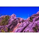 Reptile Habitat Background Blue Sky Rock Mountain Gobi Terrarium Background Eroded Stone Mountains Jungle Plants Aquarium Background Desert Blue Sky Mountain Fish Tank Background Vinyl 36x18in