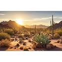 Reptile Habitat Background Sunset Desert Tank Decors Saguaro Cactus Arid Mountain Range Terrarium Background Cacti Sand Dunes Aquarium Background Desert Mountain Fish Tank Background 36x24in