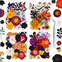 Resiners Pressed Flowers Halloween Dried Flowers for Crafts