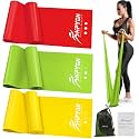 Resistance Bands for Workout Out, Exercise Bands for Physical Therapy, Starter Kit for Workout, Stretching, Recovery, Pilates, Rehabilitation, Strength Training and Yoga