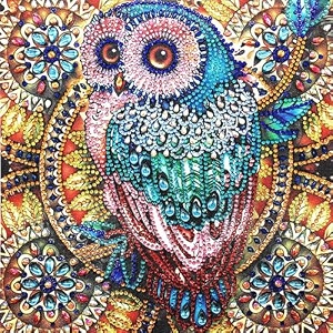 aurora light 275 x 157 inch diamond painting 5d diamond painting kit for adults amp kids very suitable for home leisure and wall decoration gift for kids and adults