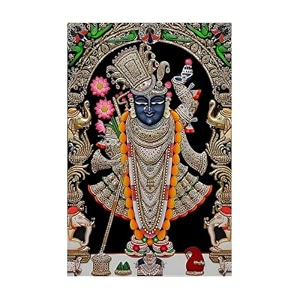 5d diamond painting kit 12x16inch diamond painting kit for adults amp kids very suitable for home leisure and wall decoration shreenathji