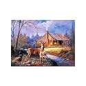 5D Diamond Painting Kit, 12x16inch Diamond Painting Kit for Adults &amp; Kids, Very Suitable for Home Leisure and Wall Decoration (Deer and Fown)