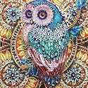 Aurora Light 27.5 X 15.7 inch Diamond Painting, 5D Diamond Painting Kit for Adults & Kids, Very Suitable for Home Leisure and Wall Decoration, Gift for Kids and Adults