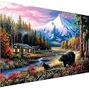 5D Diamond Painting Kit, 12x16inch Diamond Painting Kit for Adults &amp; Kids, Very Suitable for Home Leisure and Wall Decoration (Snow Mountain)