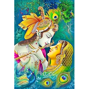 aurora light 275 x 157 inch diamond painting 5d diamond painting kit for adults amp kids very suitable for home leisure and wall decoration gift for kids and adults