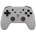 Retro Fighters Defender Next-Gen PS1 - PS2 - PS3 - PS Classic - Switch &amp; PC Compatible Wireless Controller (Gray)