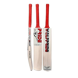 retro plus full size cricket bat ideal for age 15 yrs with anti scuff sheet toe and cover retro plus red sticker amp red grip himachal willow cricket bat