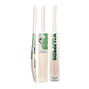 retro plus full size cricket bat ideal for age 15 yrs with anti scuff sheet toe and cover retro plus green sticker amp white grip kashmir willow cricket bat