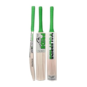 retro plus full size cricket bat ideal for age 15 yrs with anti scuff sheet toe and cover retro plus green sticker amp green grip kashmir willow cricket bat