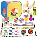 Retro Shaw 33 Pack Cat Toys with Tunnel for Indoor Cats