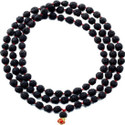 RGL High Quality Rudraksha Mala 108 + 1 (6mm) Dori Necklace