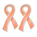 Ribbon Pins 1/5/25/100 for Cancer &amp; Disease Awareness - Various Causes - Bulk Quantities Available for Support Groups and Fundraising