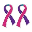 Ribbon Pins 1/5/25/100 for Cancer &amp; Disease Awareness - Various Causes - Bulk Quantities Available for Support Groups and Fundraising