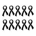 Ribbon Pins 1/5/25/100 for Cancer &amp; Disease Awareness - Various Causes - Bulk Quantities Available for Support Groups and Fundraising
