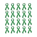 Ribbon Pins 1/5/25/100 for Cancer &amp; Disease Awareness - Various Causes - Bulk Quantities Available for Support Groups and Fundraising