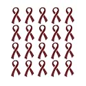 Ribbon Pins 1/5/25/100 for Cancer &amp; Disease Awareness - Various Causes - Bulk Quantities Available for Support Groups and Fundraising