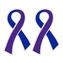 Ribbon Pins 1/5/25/100 for Cancer &amp; Disease Awareness - Various Causes - Bulk Quantities Available for Support Groups and Fundraising