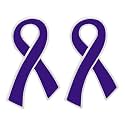 Ribbon Pins 1/5/25/100 for Cancer &amp; Disease Awareness - Various Causes - Bulk Quantities Available for Support Groups and Fundraising