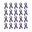 Ribbon Pins 1/5/25/100 for Cancer &amp; Disease Awareness - Various Causes - Bulk Quantities Available for Support Groups and Fundraising