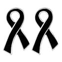 Ribbon Pins 1/5/25/100 for Cancer &amp; Disease Awareness - Various Causes - Bulk Quantities Available for Support Groups and Fundraising