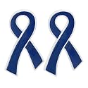 Ribbon Pins 1/5/25/100 for Cancer &amp; Disease Awareness - Various Causes - Bulk Quantities Available for Support Groups and Fundraising