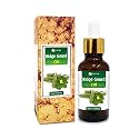 Salvia Ridge Gourd Oil (Luffa acutangula) Carrier Oil for Skincare, Haircare &amp; Massage – Botanical Oil for DIY Formulations &amp; Body Care – 50 ml / 1.69 fl oz