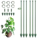 RIFNY Plant Stakes for Indoor Plants, 12 Inch Plant Support Stakes, 6 PCS