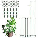 RIFNY Plant Stakes for Indoor Plants, 12 Inch Plant Support Stakes, 10 PCS