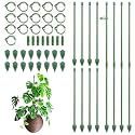 RIFNY Plant Stakes for Indoor Plants, 14 Inch Plant Support Stakes, 16 PCS