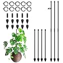 RIFNY Plant Stakes for Indoor Plants, Plant Support Stakes, 14 Inch