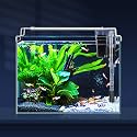 LAQUAL Rimless Glass Aquarium Starter Kit (3 Gal), Ultra Clear Low Iron Glass Fish Tank Set, Small Beta Fish Tank &amp; Filter with Surface Skimmer &amp; 3-Mode LED Light
