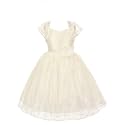 Ripening Off White Lace Net V Neck